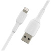 CAA001bt1MWH