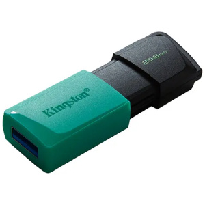 DTXM-256GB-1