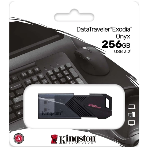 DTXON-256GB