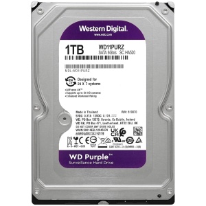 WD11PURZ