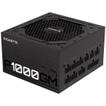 GP-UD1000GM-1